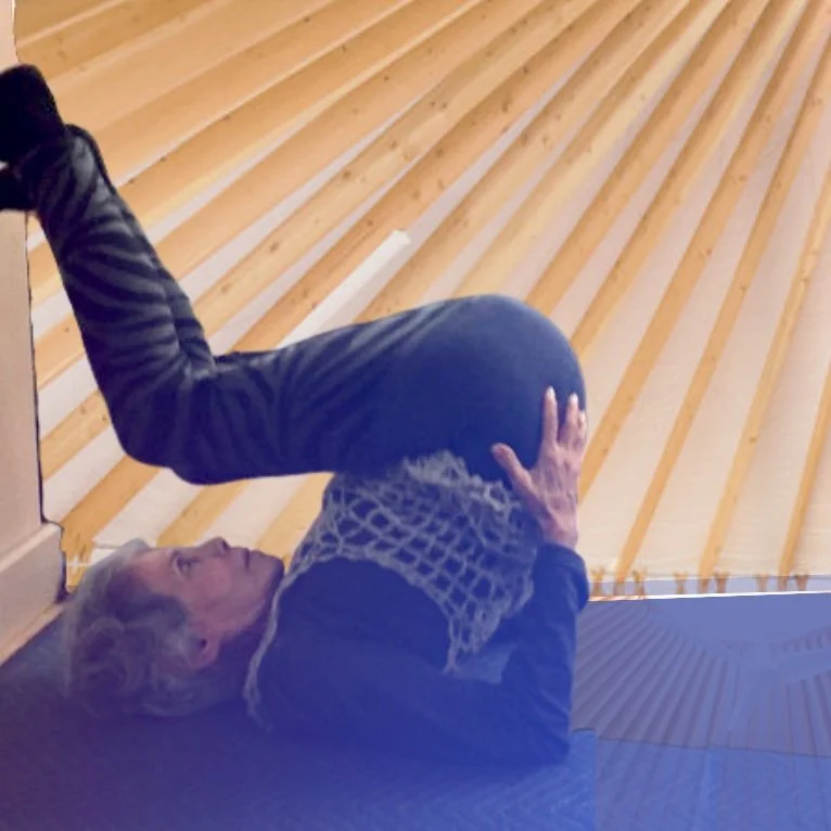 Healing hands hotsell tiffany pant